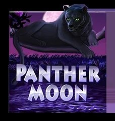 Panther Moon